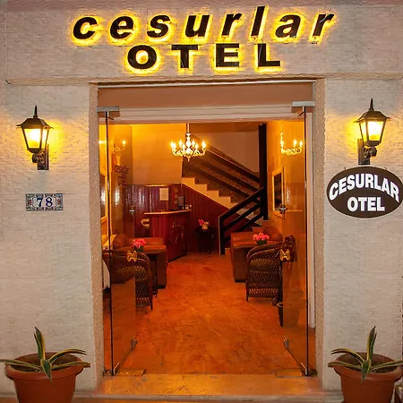 Cesurlar 2*