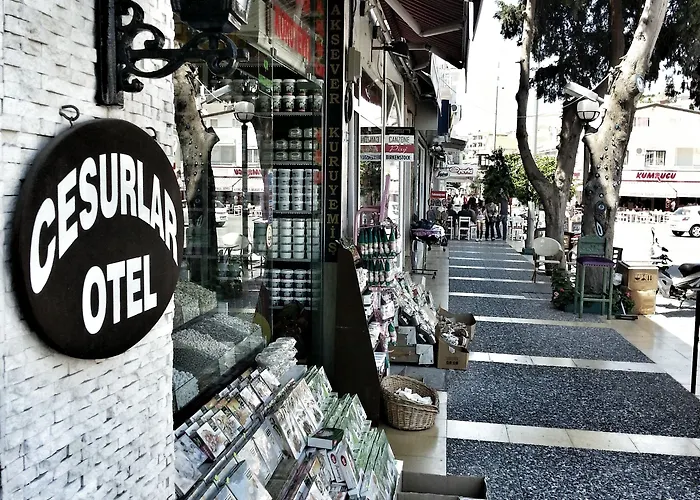 ベッド・アンド・ブレックファスト Cesurlar Çeşme